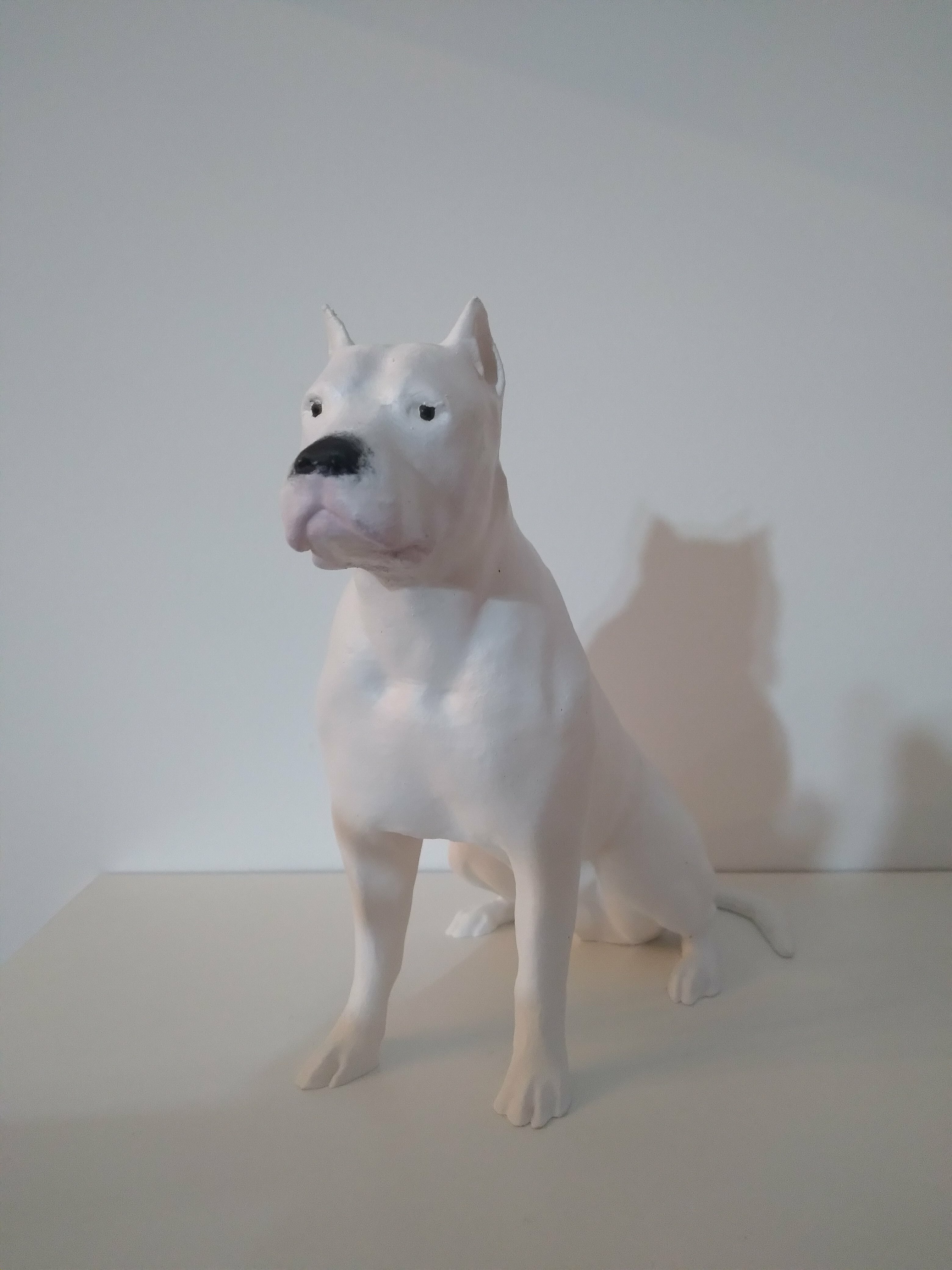 Dogo Argentino 3D STL Model — view 4