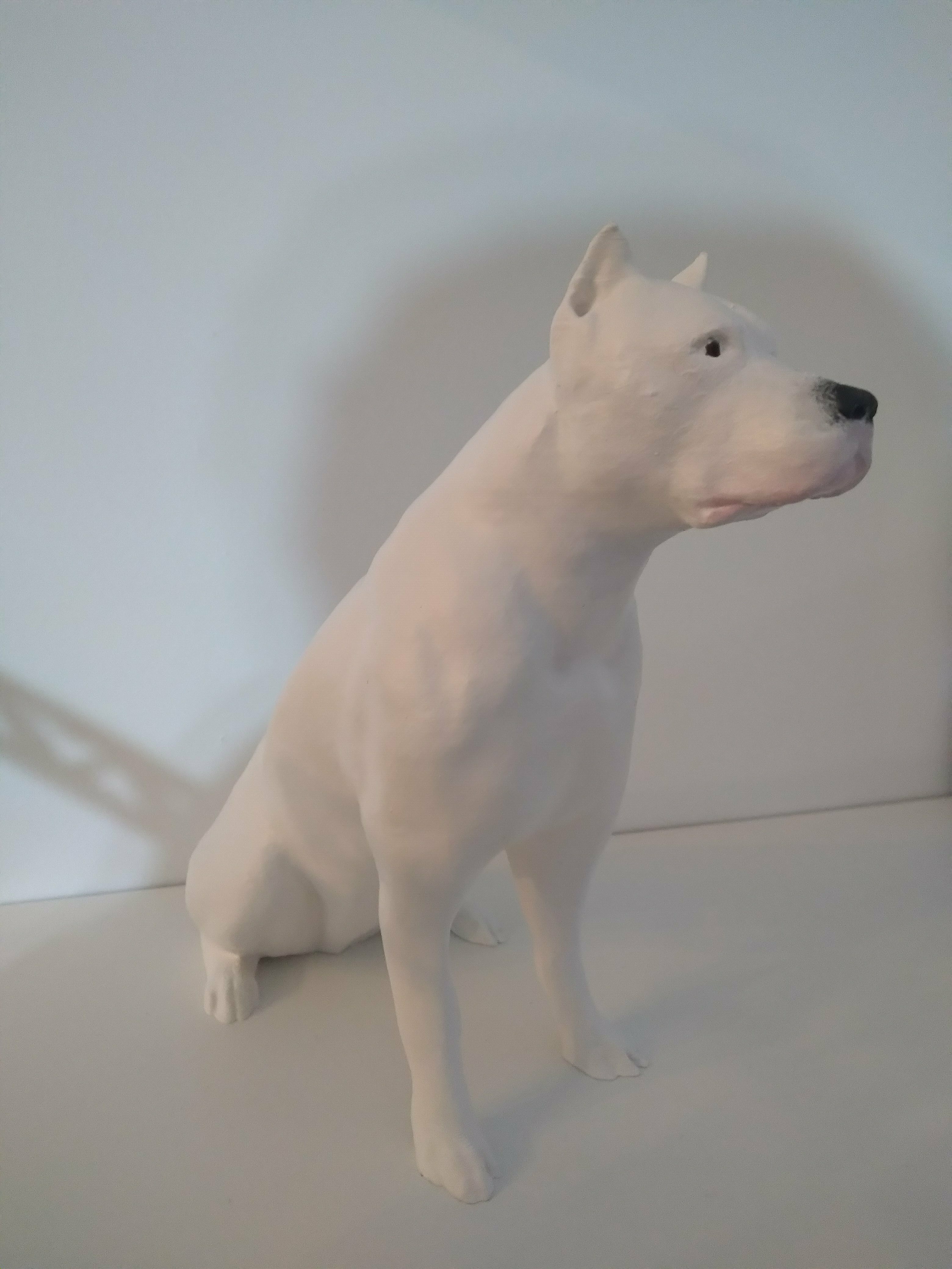 Dogo Argentino 3D STL Model — view 5