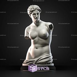 Mini Bust Character Collection STL Venus de Milo 3D Model