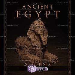 Sphinx Bottle Holder STL Files 3D Model — view 1