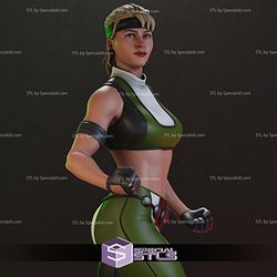 Sonya Blade Mortal Kombat 3 Ultimate 3D Printer Files STL Model