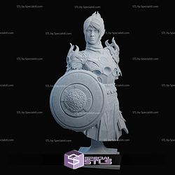 Shadowheart Baldurs Gate 3 and Shield Bust STL Files 3D Model