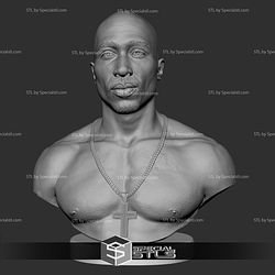 Tupac Shakur Bust V2 Sculptures 3D Printing STL Model
