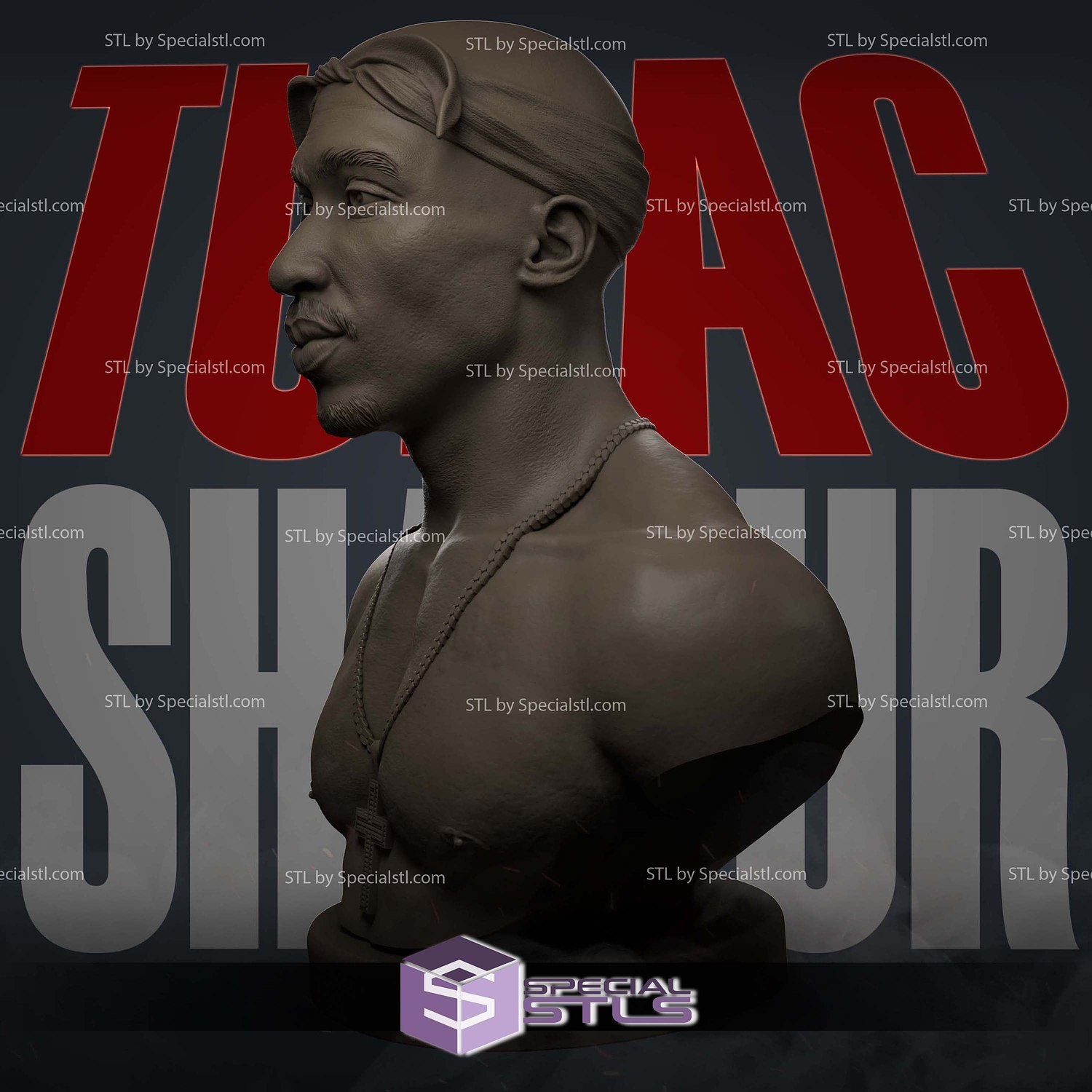 Tupac Shakur Bust V2 Sculptures 3D Printing STL Model — view 2