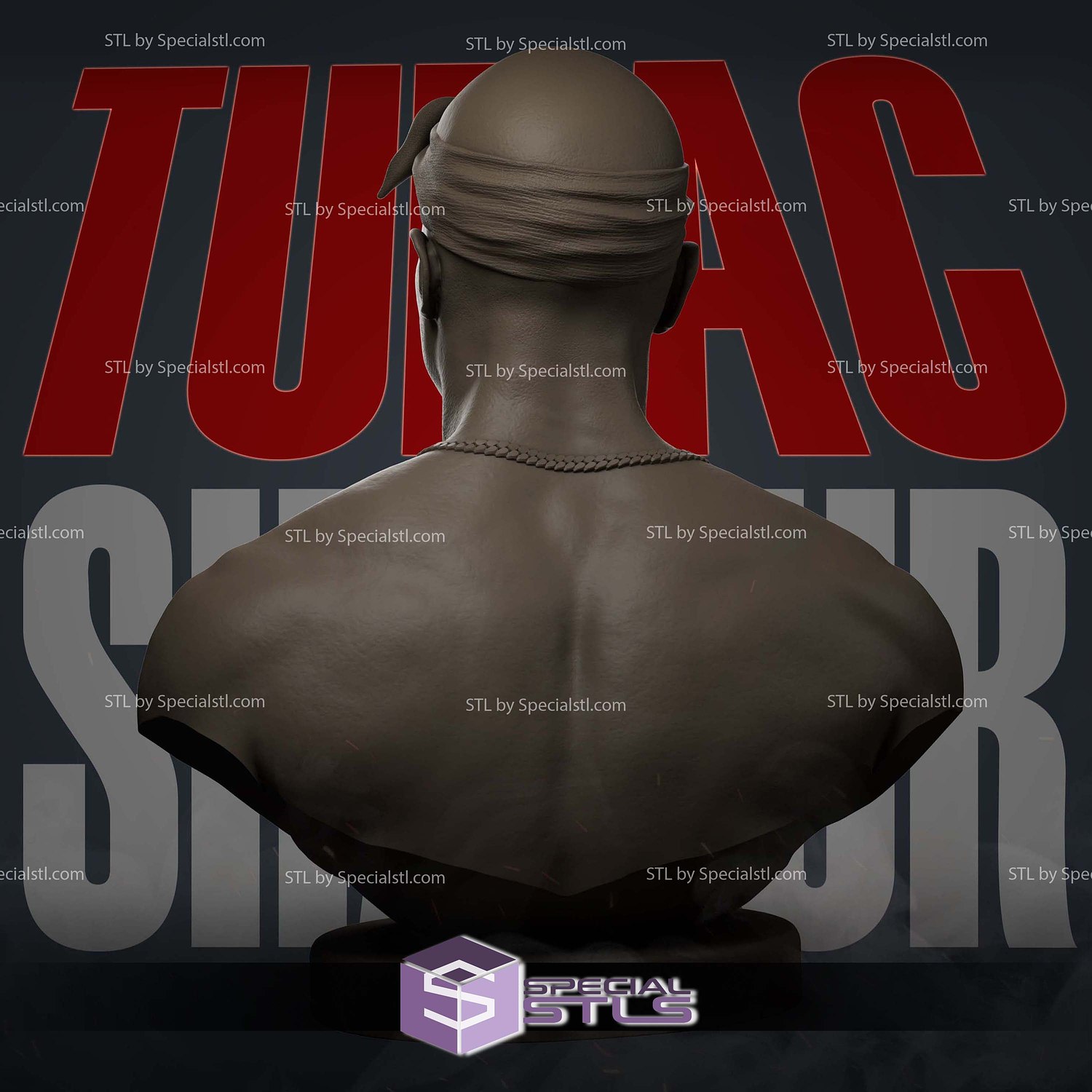 Tupac Shakur Bust V2 Sculptures 3D Printing STL Model — view 3