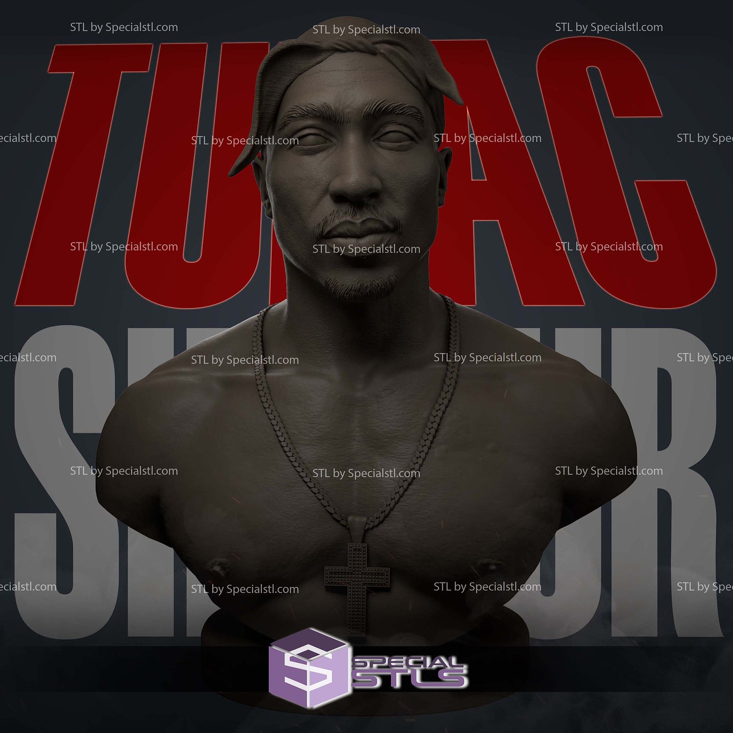 Tupac Shakur Bust V2 Sculptures 3D Printing STL Model — view 5