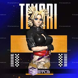 Temari Naruto Bust STL Files 3D Model
