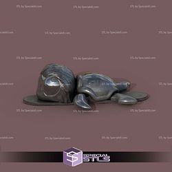 Basic STL Collection Super Turtle Silver Surfer 3D Model