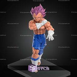 Vegeta Ultra Ego Dragon Ball Super Vol 24 STL Files 3D Model