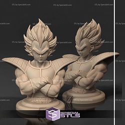 Vegeta Arms Crossed Bust STL Files 3D Model