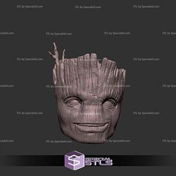 Custom Head STL Groot Smiling 3D Model