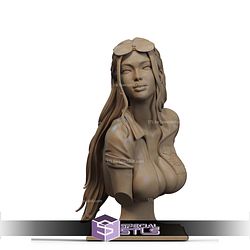 Nico Robin Attractive Dress Bust 3D Printer Files STL Model