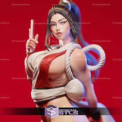 Mai Shiranui Japan Style 3D Printing Models STL Model