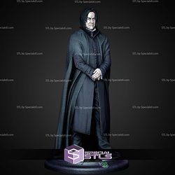 Severus Snape Museum Pose 1 6 Harry Potter STL Files 3D Model