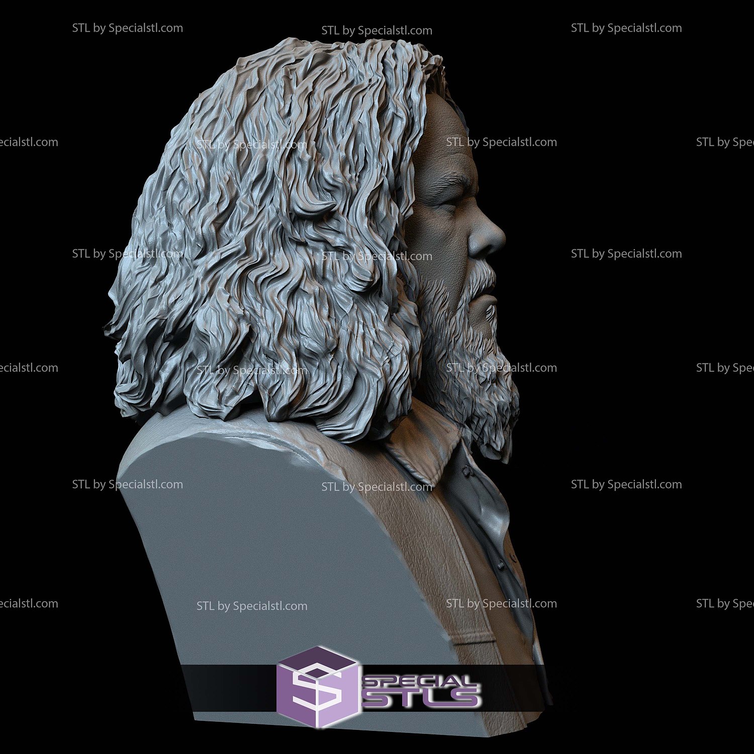 Bust Portrait STL Collection - Bobby Elvis Sons of Anarchy 3D Model — view 3