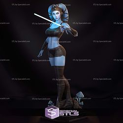 Aayla Secura Blue 3D Printer Files STL Model