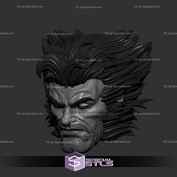 Custom Head STL Logan Wolverine X Men 3D Model