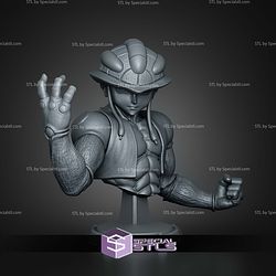 Meruem Hunter x Hunter Bust 136mm STL Files 3D Model