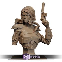 Shae Vizla Mandalorian Bust 3D Printer Files STL Model