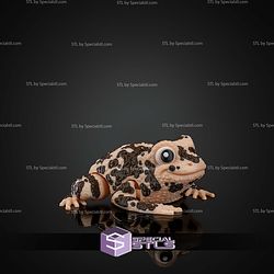 Super Basic STL Grace the American Ground Frog 3D Model