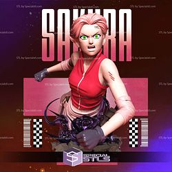 Sakura Battle Bust STL Files 3D Model
