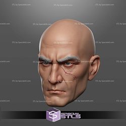 Custom 1 12 Figure STL Pre Vizsla Head 3D Model