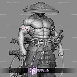 Wolverine Logan Samurai 3D Printing Models STL Model