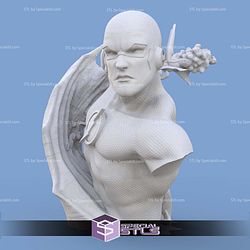 Flash Surfing Bust Digital STL Files 3D Model