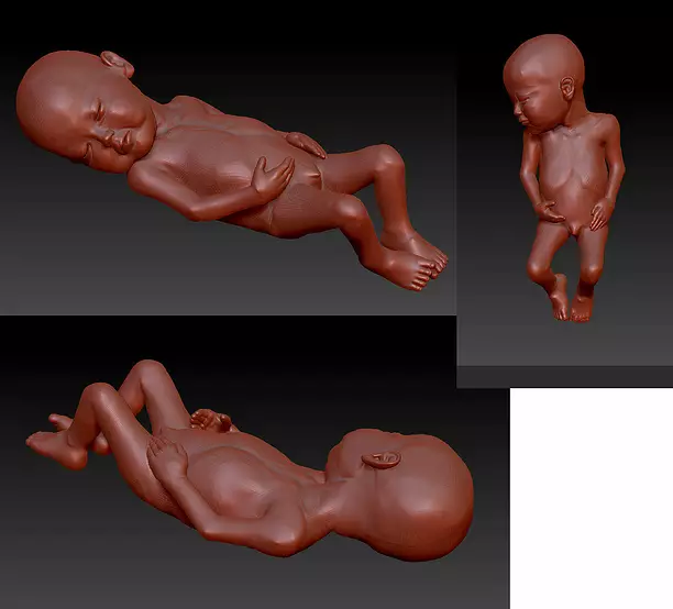 newborn baby fetus 3D OBJ Model