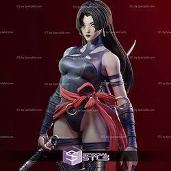 Psylocke Betsy 2 Pose 3D Printer Files STL Model