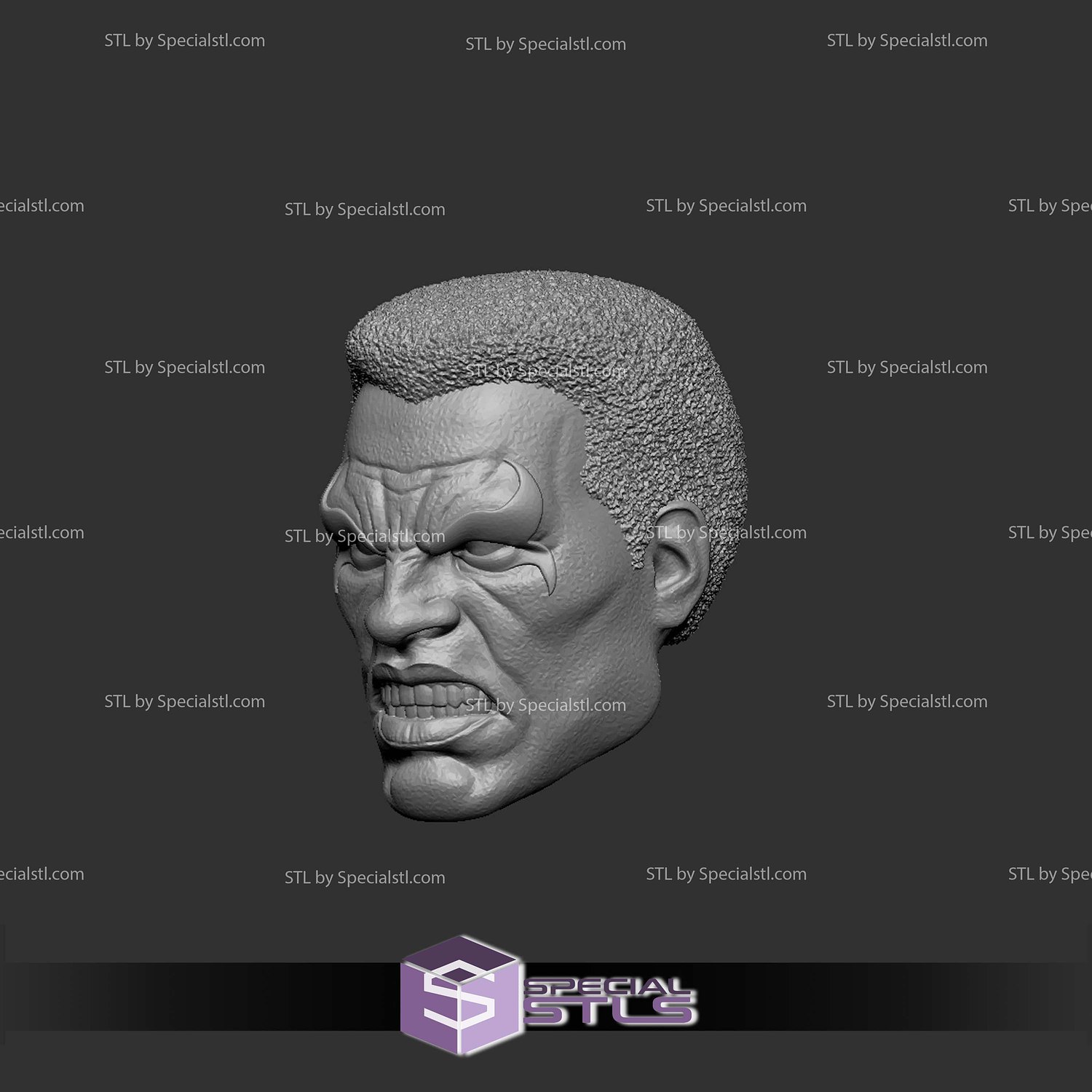 Custom Figure Head STL Collection - Icon Marvel Angry 3D Model — view 2
