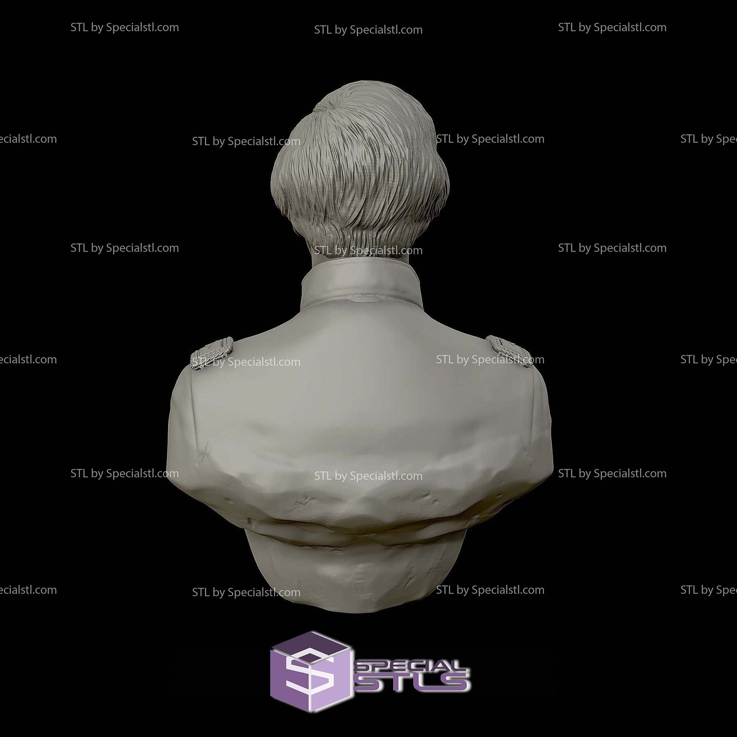 General Joshua Chamberlain Bust 3D Printing Models STL Model — view 3