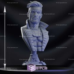Gambit X-Men Bust 3D Printer Files STL Model