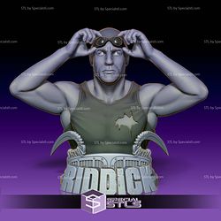 Basic STL Collection - Riddick Bust 3D Model
