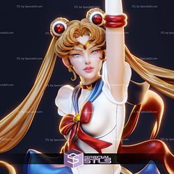 Sailor Moon to the Sky STL Files 3D Model