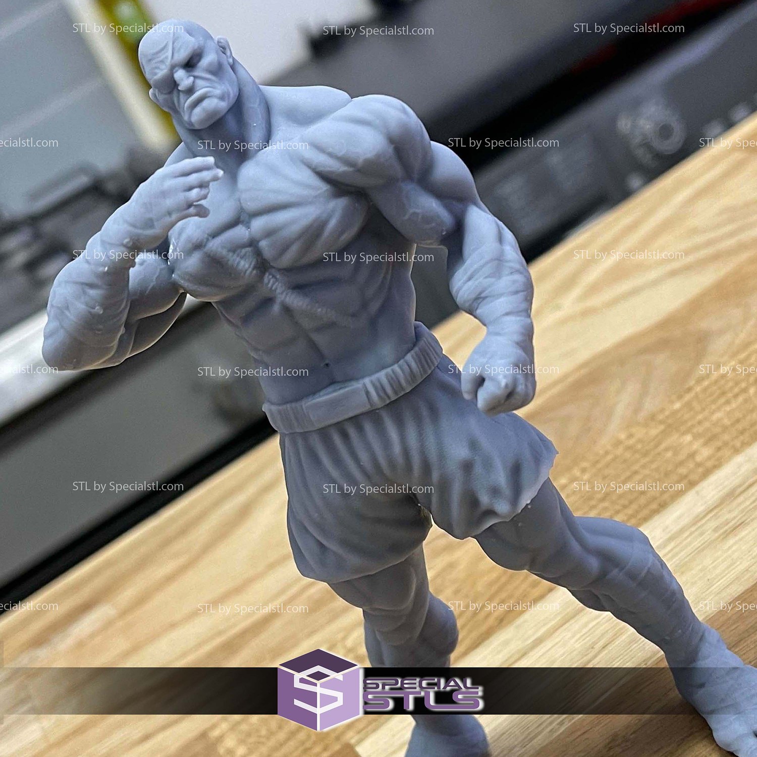Sagat Basic Standing 3D Print Files STL Model — view 2