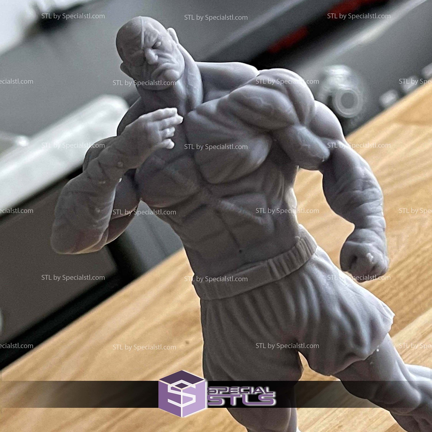 Sagat Basic Standing 3D Print Files STL Model — view 3