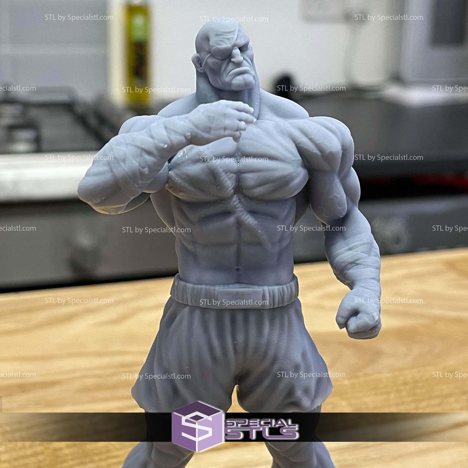 Sagat Basic Standing 3D Print Files STL Model — view 4