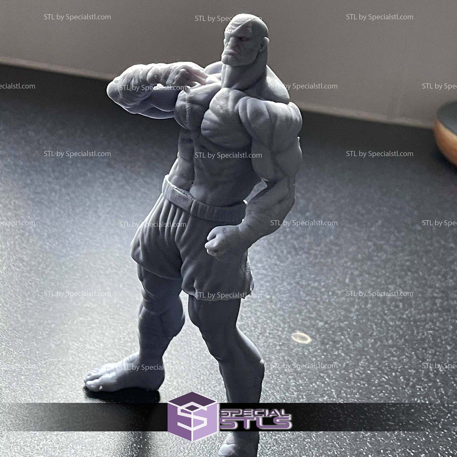 Sagat Basic Standing 3D Print Files STL Model — view 5