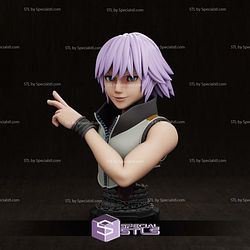 Riku Bust 3D Printer Files STL Model
