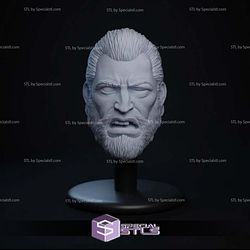 Custom Figure Head STL Collection - The Immortal Dead Invincible 3D Model