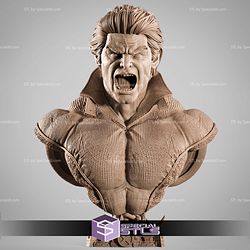 Banshee Marvel Heroes Bust STL Files 3D Model