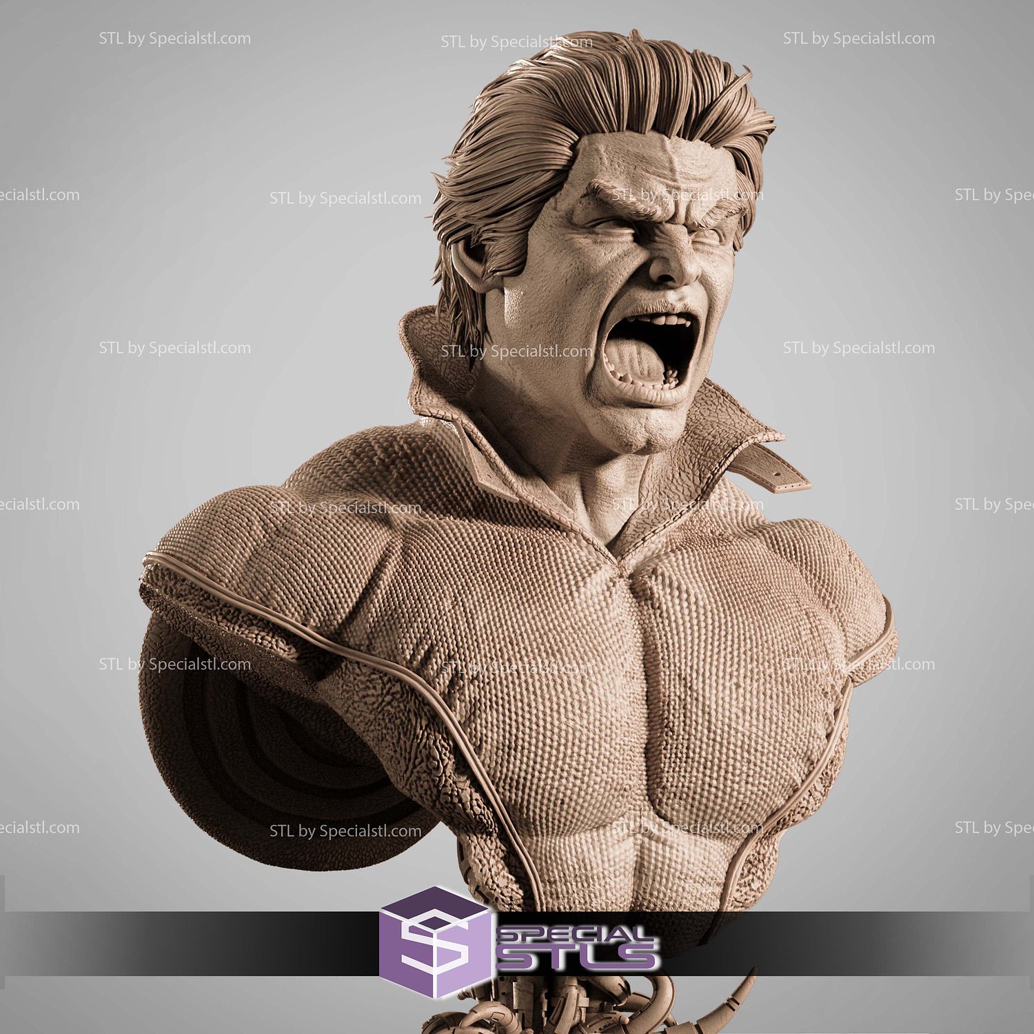 Banshee Marvel Heroes Bust STL Files 3D Model — view 2