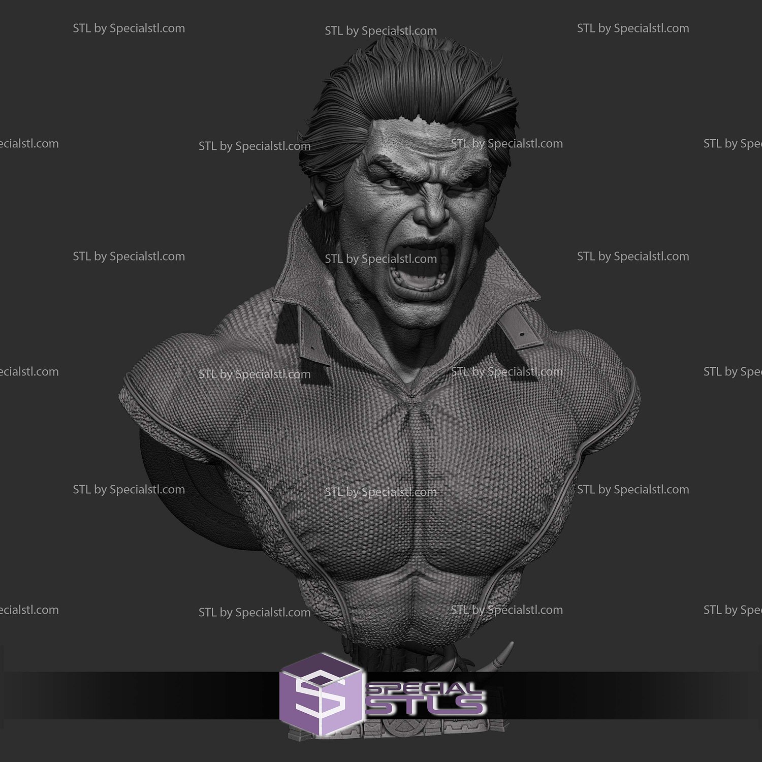 Banshee Marvel Heroes Bust STL Files 3D Model — view 3