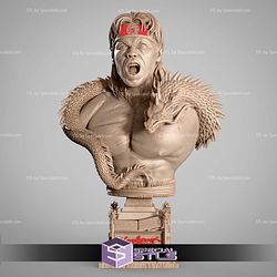 Chong Li Portrait Bust STL Files 3D Model