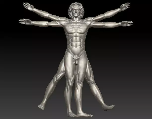 Vitruvian Man  High For 3D Printing ZTL Model