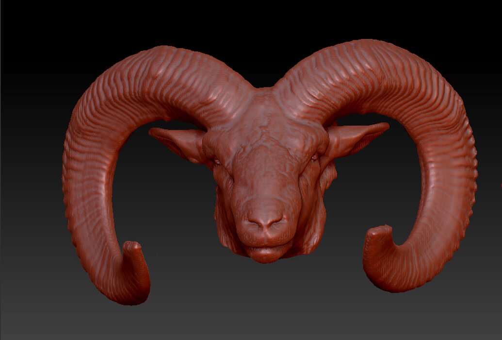 Moufflon head 3D OBJ Model — view 6