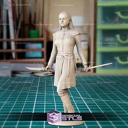 Arya Stark Standalone 3D Printer Files STL Model