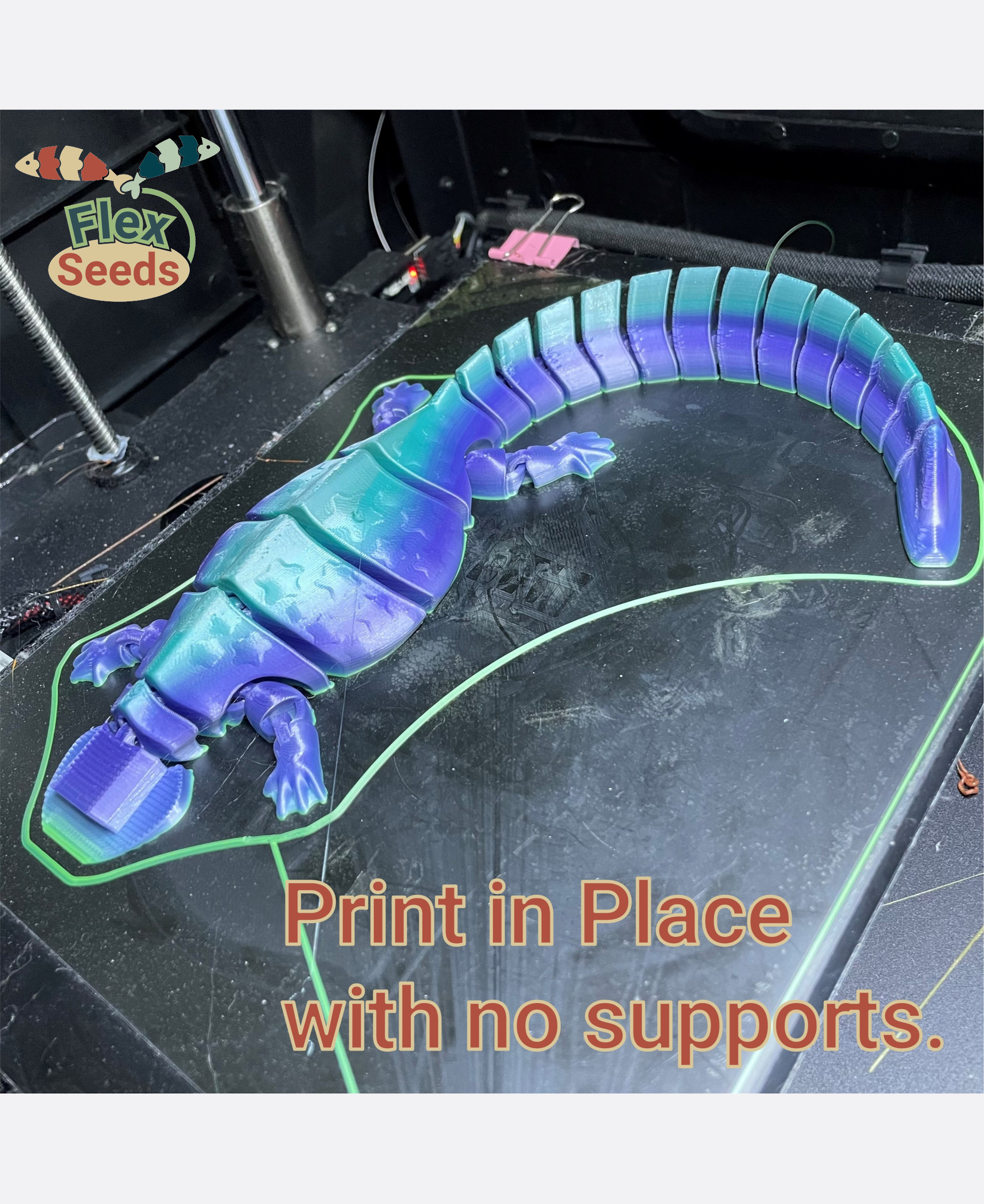Flexi Diplocaulus (print-in-place) 3D STL Model — view 5
