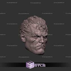 Custom Head STL Cable X Men 3D Model